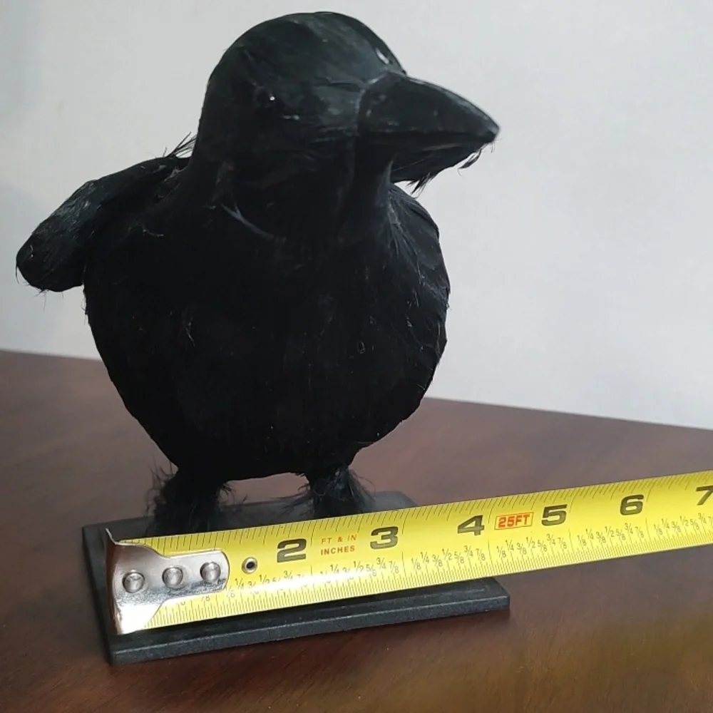 Black Raven Crow Sculpture Real Feathers Bird Halloween Decor Movie Set Prop - Picture 13 of 14